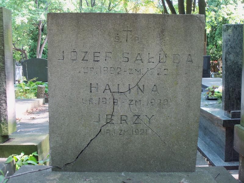 Zdjęcie grobu Jerzy Sałuda (2)
