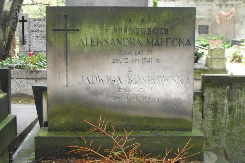 Zdjęcie grobu Marcyjanna Bonikowska (2)