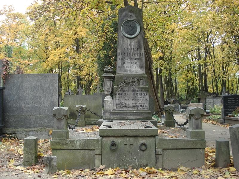 Zdjęcie grobu: Henryk Podczaski