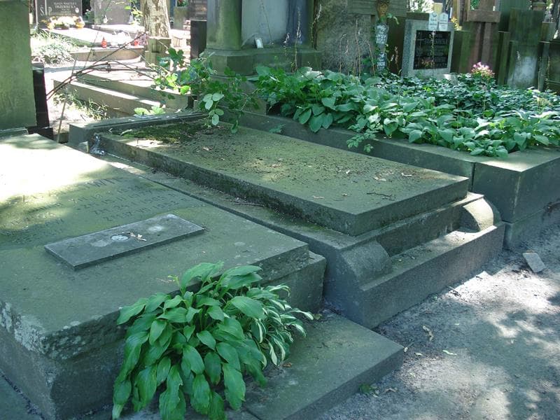 Zdjęcie grobu Kazimierz Orlikowski (1)