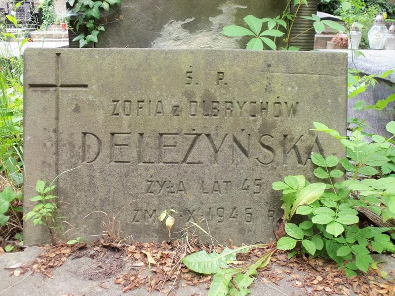 Zdjęcie grobu Zofia Deleżyńska (2)