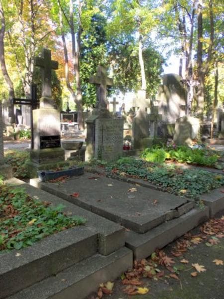 Zdjęcie grobu Józefa Goźlińska (1)