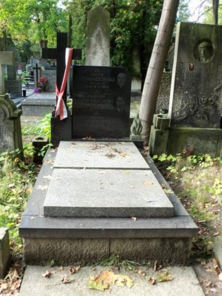 Zdjęcie grobu: Janina Lewandowska