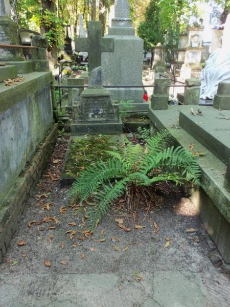 Zdjęcie grobu: Augustyn Rychter