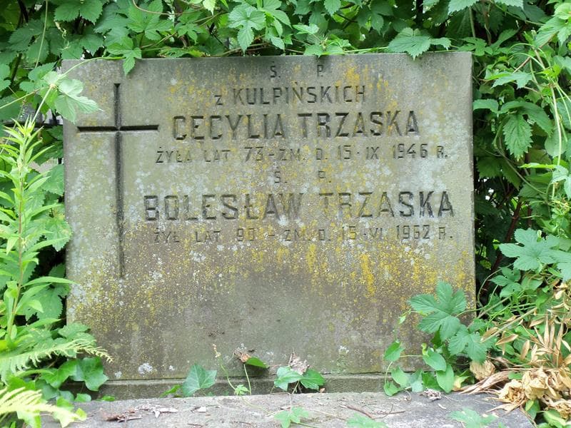 Zdjęcie grobu Cecylia Trzaska (2)