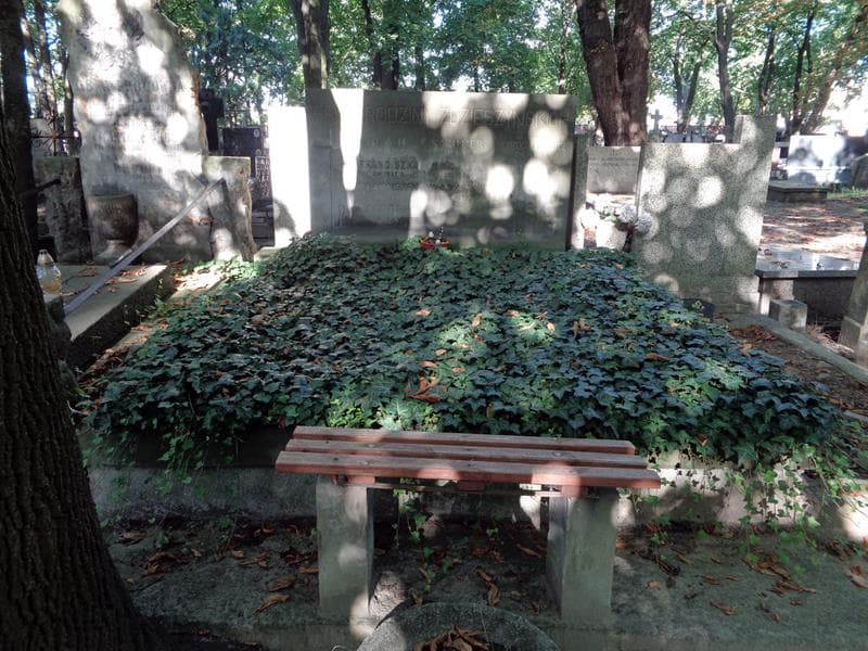 Zdjęcie grobu Henryka Lecewicz (1)
