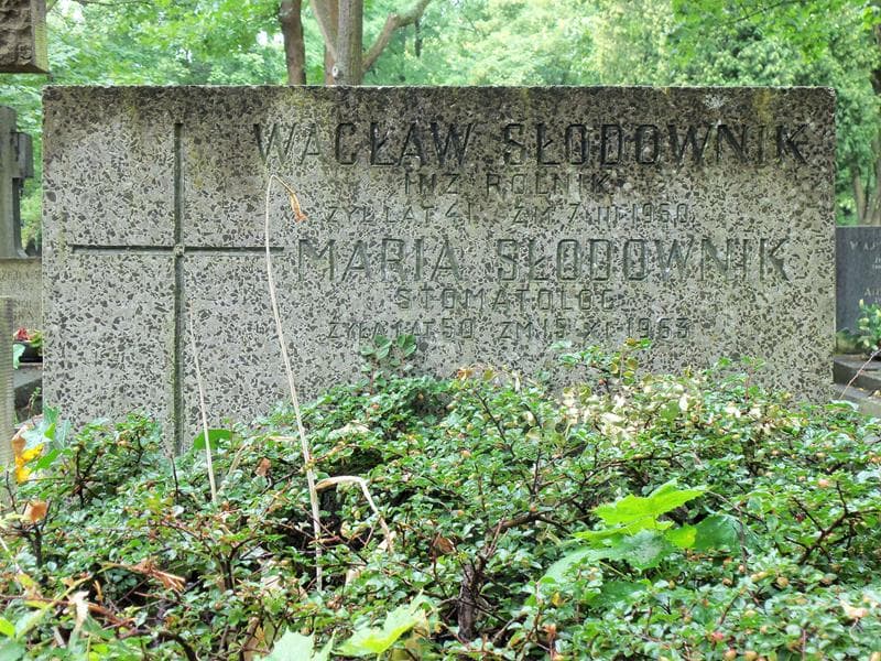 Zdjęcie grobu Maria Słodownik (2)