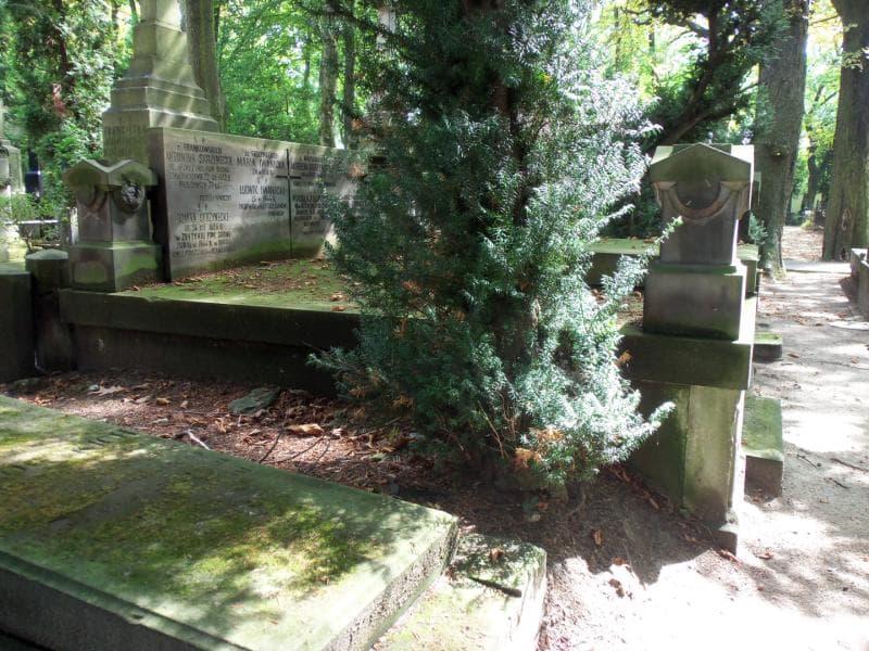 Zdjęcie grobu Maria Iwanicka (1)