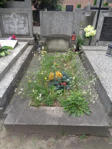 Zdjęcie grobu Henryk Janocki (1)