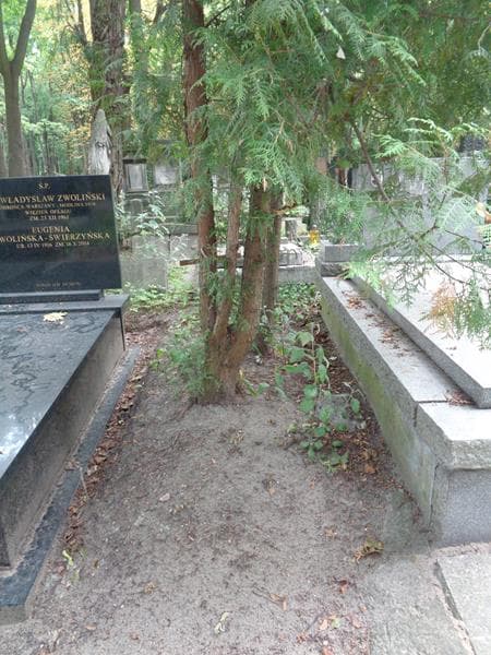 Zdjęcie grobu Anonim (1)