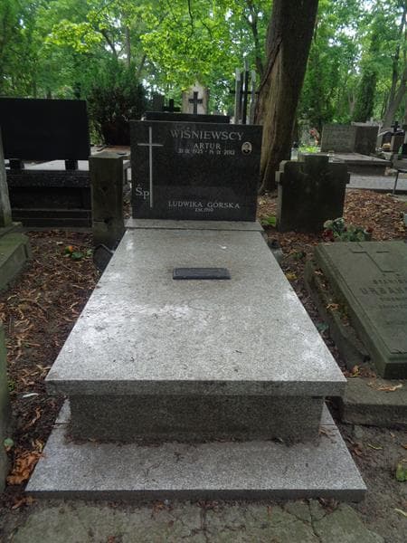Zdjęcie grobu Ludwika Górska (1)