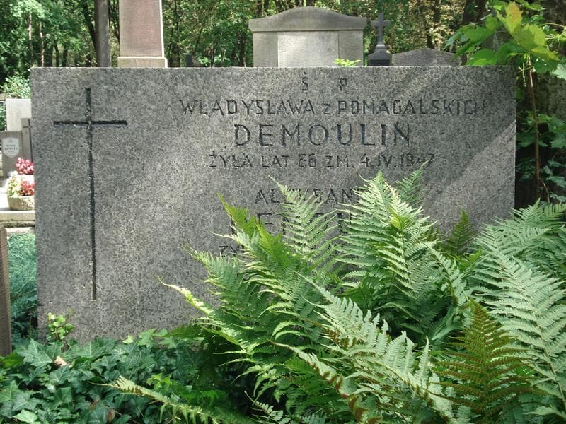 Zdjęcie grobu Aleksander Demoulin (2)