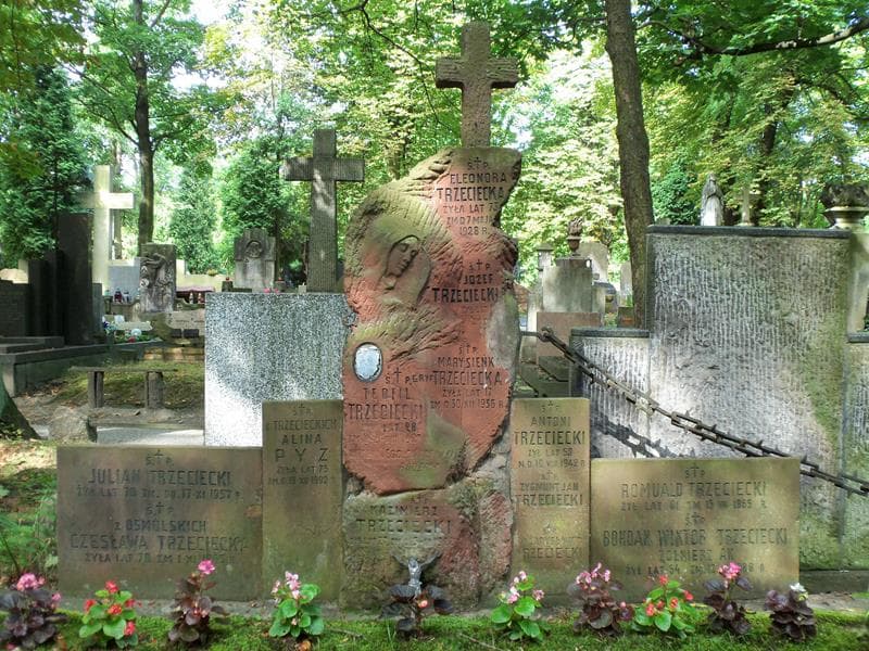 Zdjęcie grobu Romuald Trzeciecki (2)
