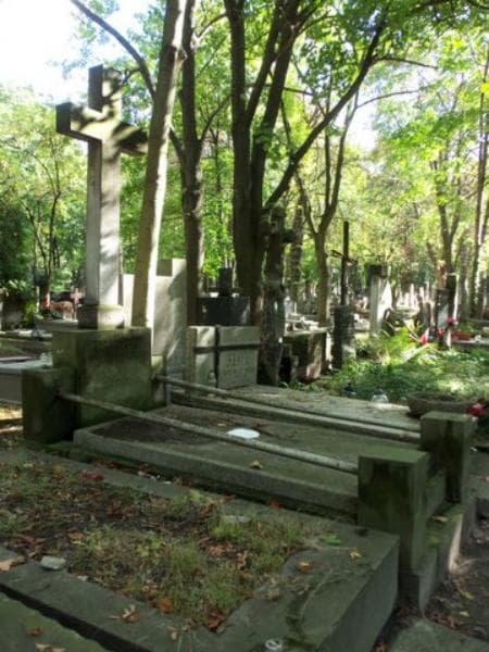 Zdjęcie grobu Anna Trzepałko (1)