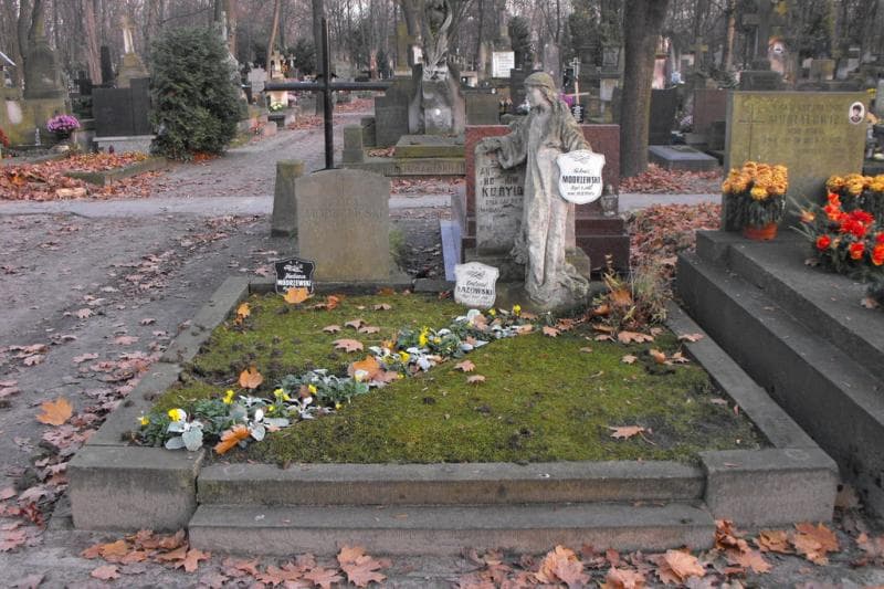 Zdjęcie grobu: Antonina Kuryło