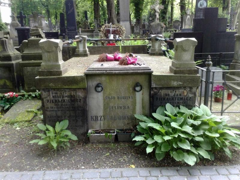 Zdjęcie grobu: Józef Krzyżanowski