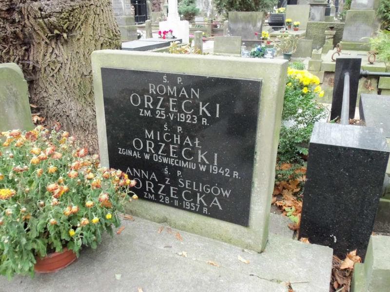 Zdjęcie grobu Beata Utzig (2)