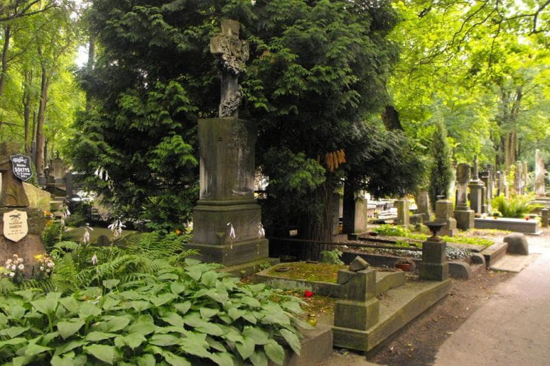 Zdjęcie grobu Stanisław Dąbrowski (1)