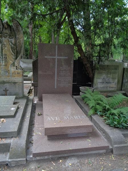 Zdjęcie grobu Aleksander Lemieszek (1)