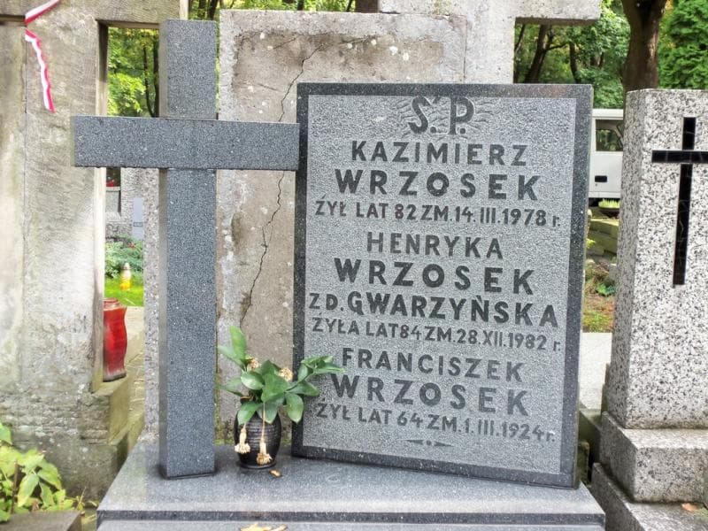Zdjęcie grobu Kazimierz Wrzosek (2)
