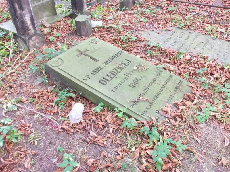 Zdjęcie grobu Anna Olędzka (1)