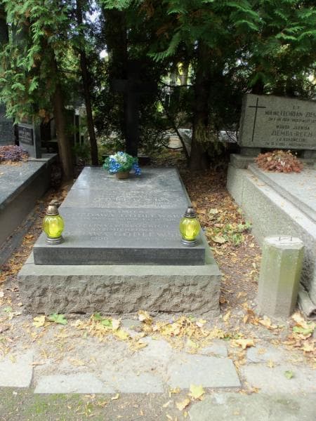 Zdjęcie grobu: Kazimierz Gozdawa Godlewski