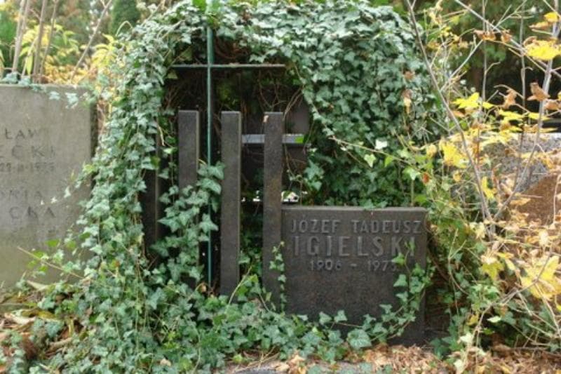 Zdjęcie grobu Józef Tadeusz Igielski (2)