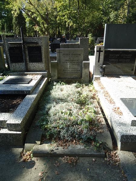 Zdjęcie grobu: Józef Osipiak