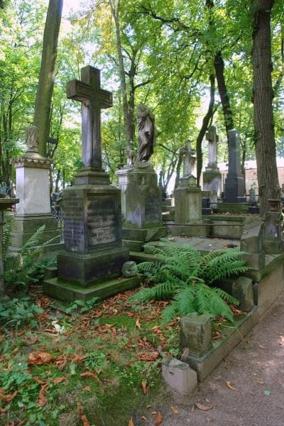 Zdjęcie grobu: Roman Paszkowski
