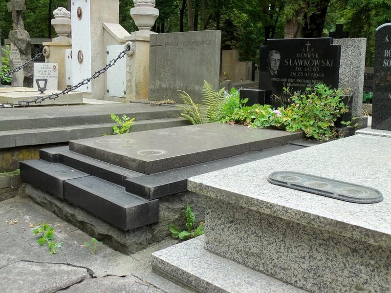 Zdjęcie grobu Henryk Sławkowski (1)