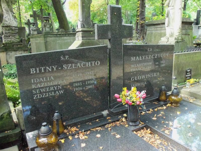 Zdjęcie grobu Jadwiga Głowińska (2)
