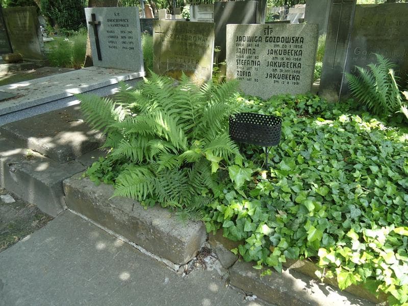 Zdjęcie grobu Janina Jakubecka (1)