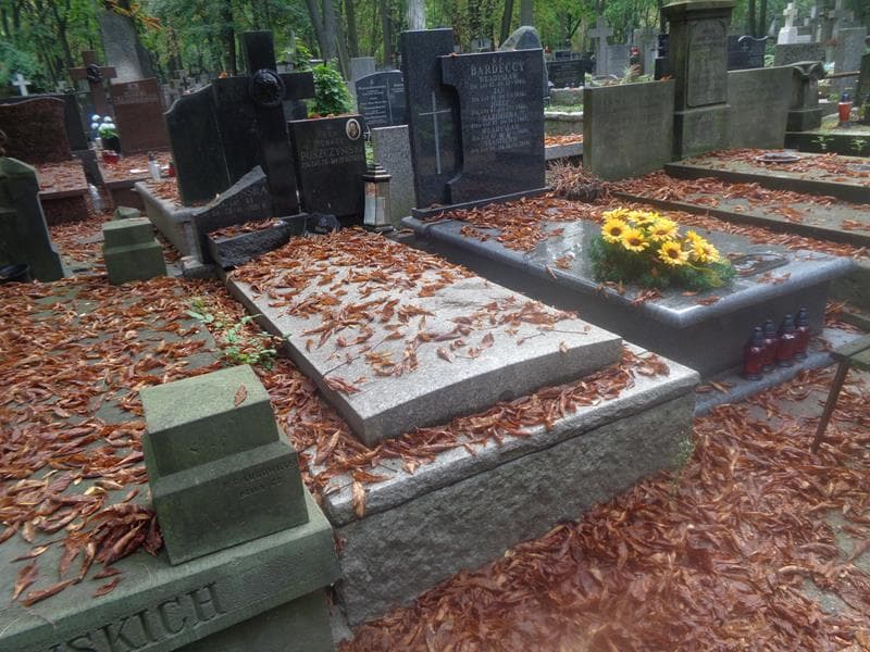 Zdjęcie grobu: Ignacy Puszczyński