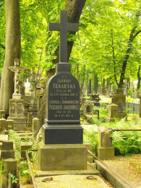 Zdjęcie grobu Ludwika Tokarska (2)