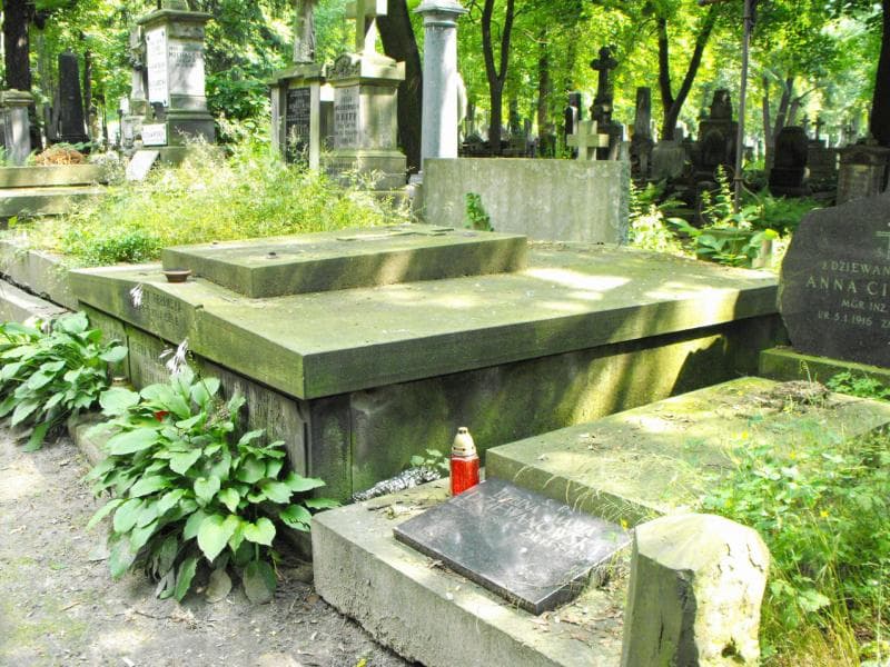 Zdjęcie grobu Edward Baranowicz (1)