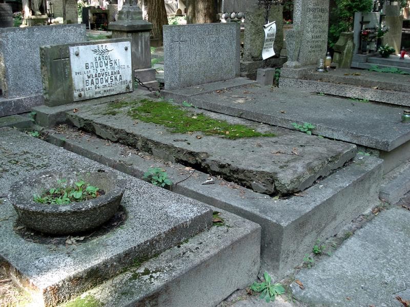 Zdjęcie grobu: Karol Badowski