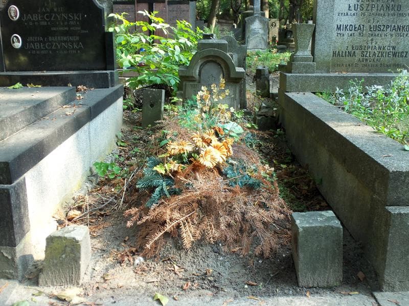 Zdjęcie grobu: Julian Dublaszewski