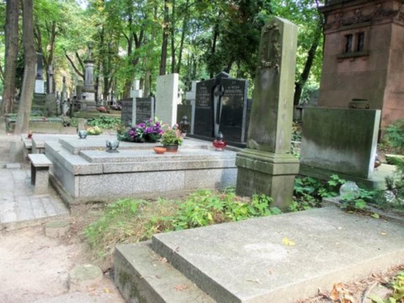 Zdjęcie grobu Teofil Stanisław Wąsicki (1)