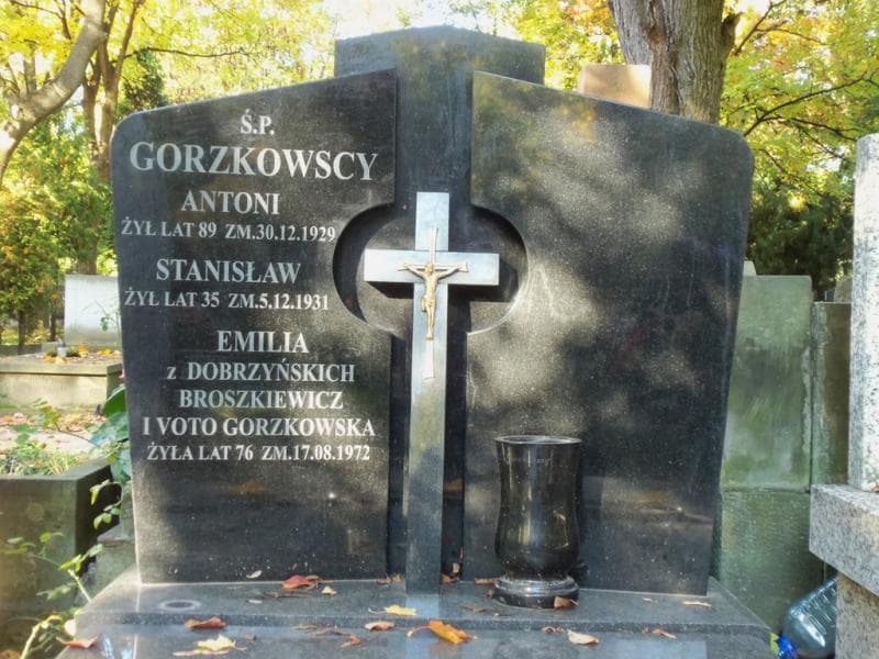 Zdjęcie grobu Antoni Gorzkowski (2)