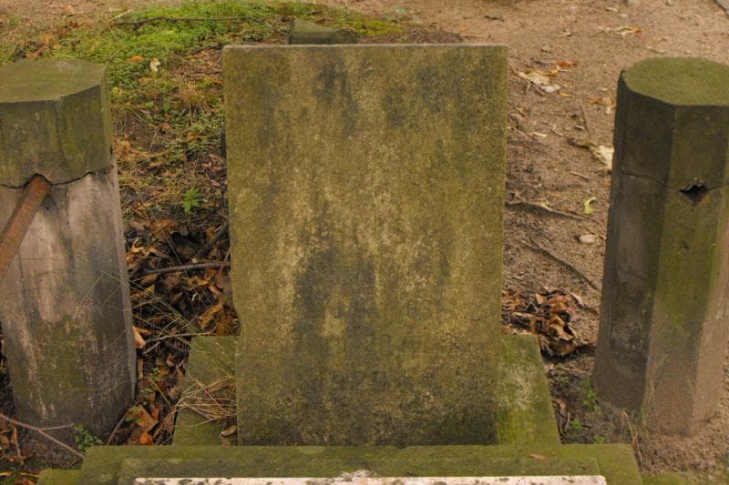 Zdjęcie grobu Feliks Jasiński (2)
