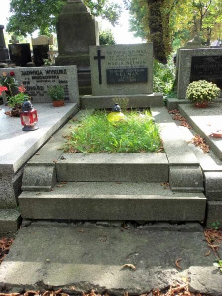 Zdjęcie grobu: Teodor Bronisław Neuman