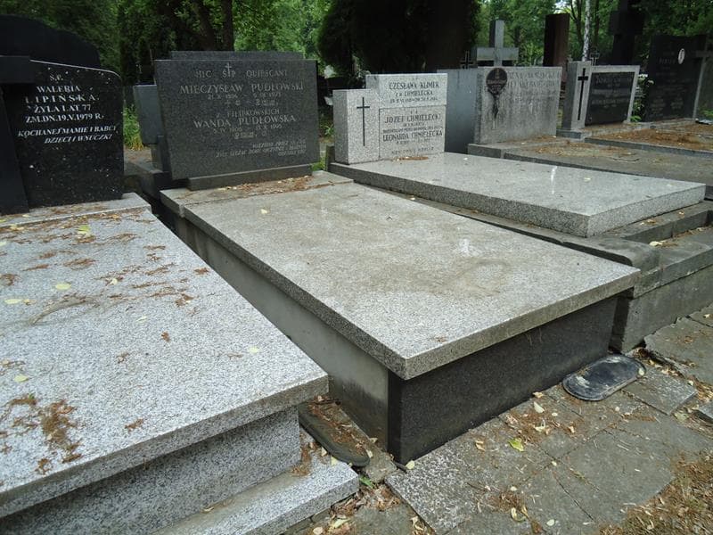 Zdjęcie grobu Wanda Pudłowska (1)