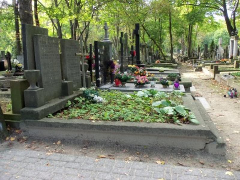 Zdjęcie grobu Stefan Maliszewski (1)