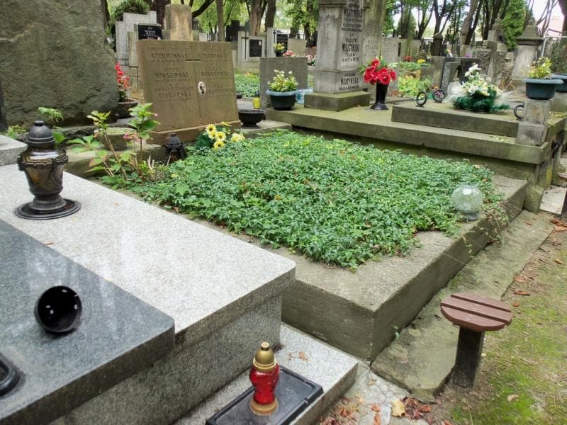 Zdjęcie grobu Władysław Czerwiński (1)