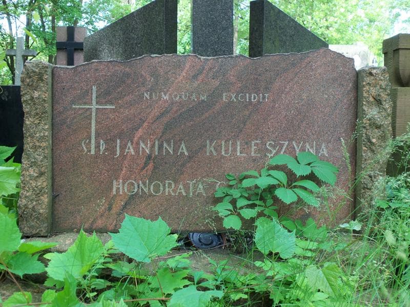 Zdjęcie grobu Janina Kuleszyna (2)