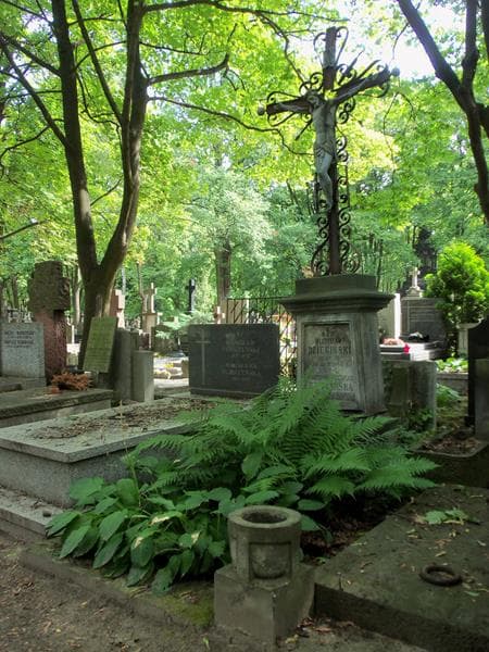 Zdjęcie grobu Władysław Dziegiński (1)