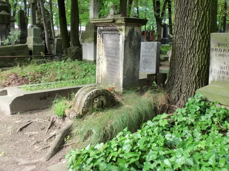 Zdjęcie grobu Aleksander Jawornicki (1)