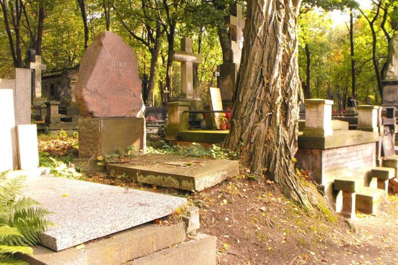 Zdjęcie grobu Erazm Lissner (1)
