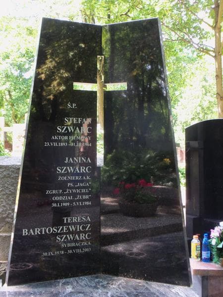 Zdjęcie grobu Teresa Bartoszewicz (2)
