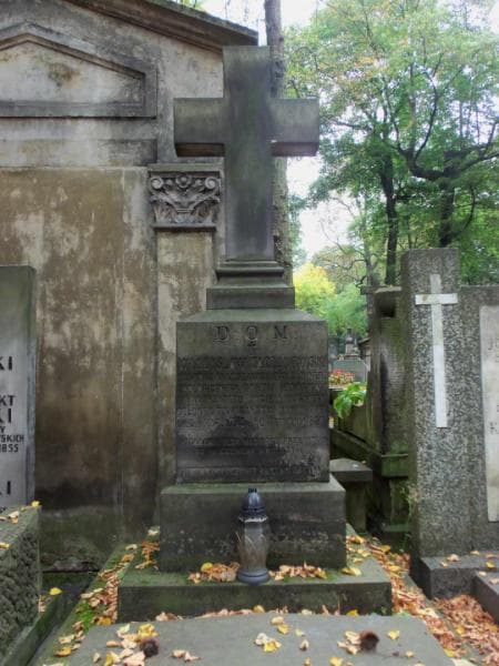 Zdjęcie grobu Władysław Taczanowski (2)